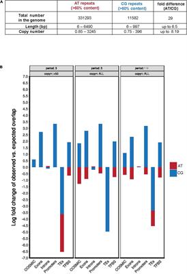 Folate Deficiency Triggers the Abnormal Segregation of a Region With Large Cluster of CG-Rich Trinucleotide Repeats on Human Chromosome 2